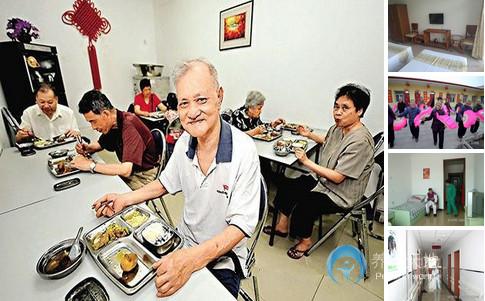 松樹(shù)橋養(yǎng)老院