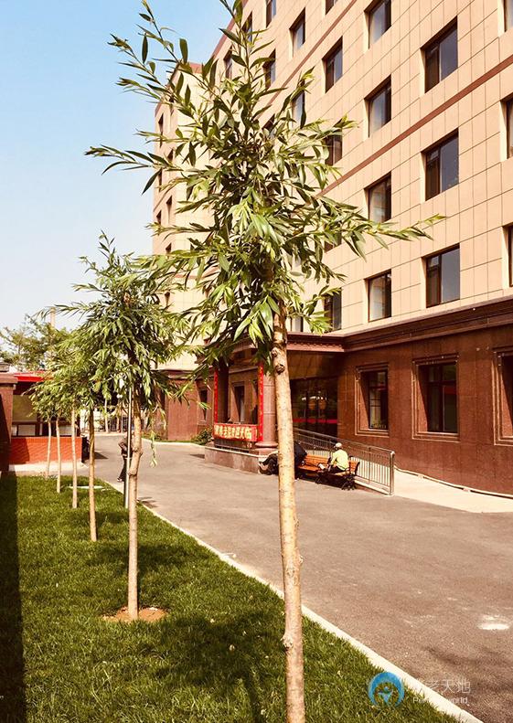 大連錦潤(rùn)養(yǎng)老院