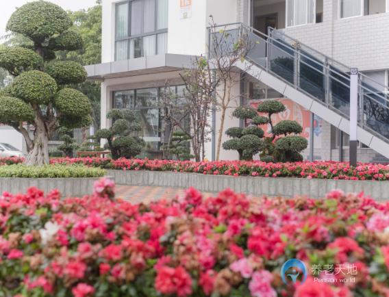 重慶巴南獅子山老年公寓 重慶巴南獅子山老年公寓