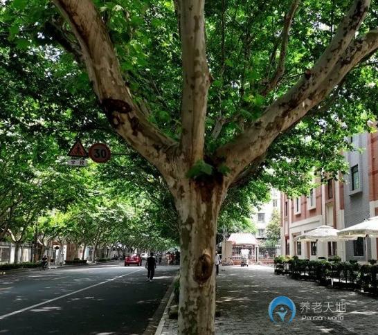 上海紅日詠華養(yǎng)老公寓 上海紅日詠華養(yǎng)老公寓