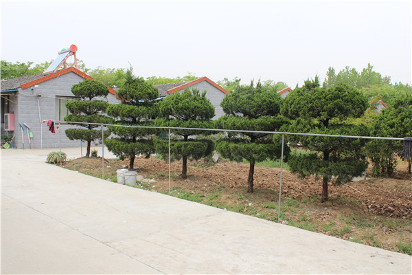 丹陽市丹北鎮(zhèn)寶山趙家村老年關愛之家