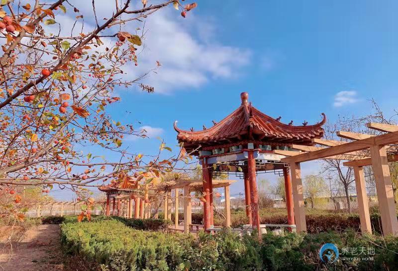 東營墾利區(qū)悠然亭頤養(yǎng)中心