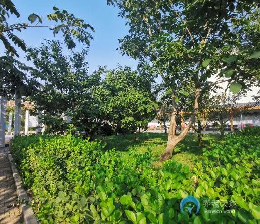 千禾老年公寓(十三陵院) 千禾老年公寓(十三陵院)