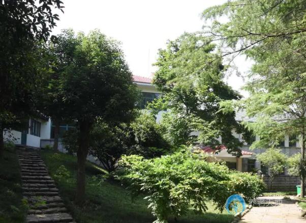 湖州梁希森林養(yǎng)老院 湖州梁希森林養(yǎng)老院