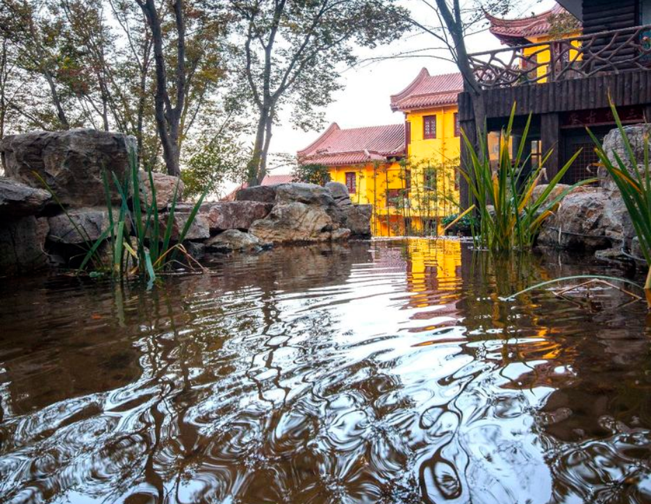 悅?cè)A東廬山頤養(yǎng)中心