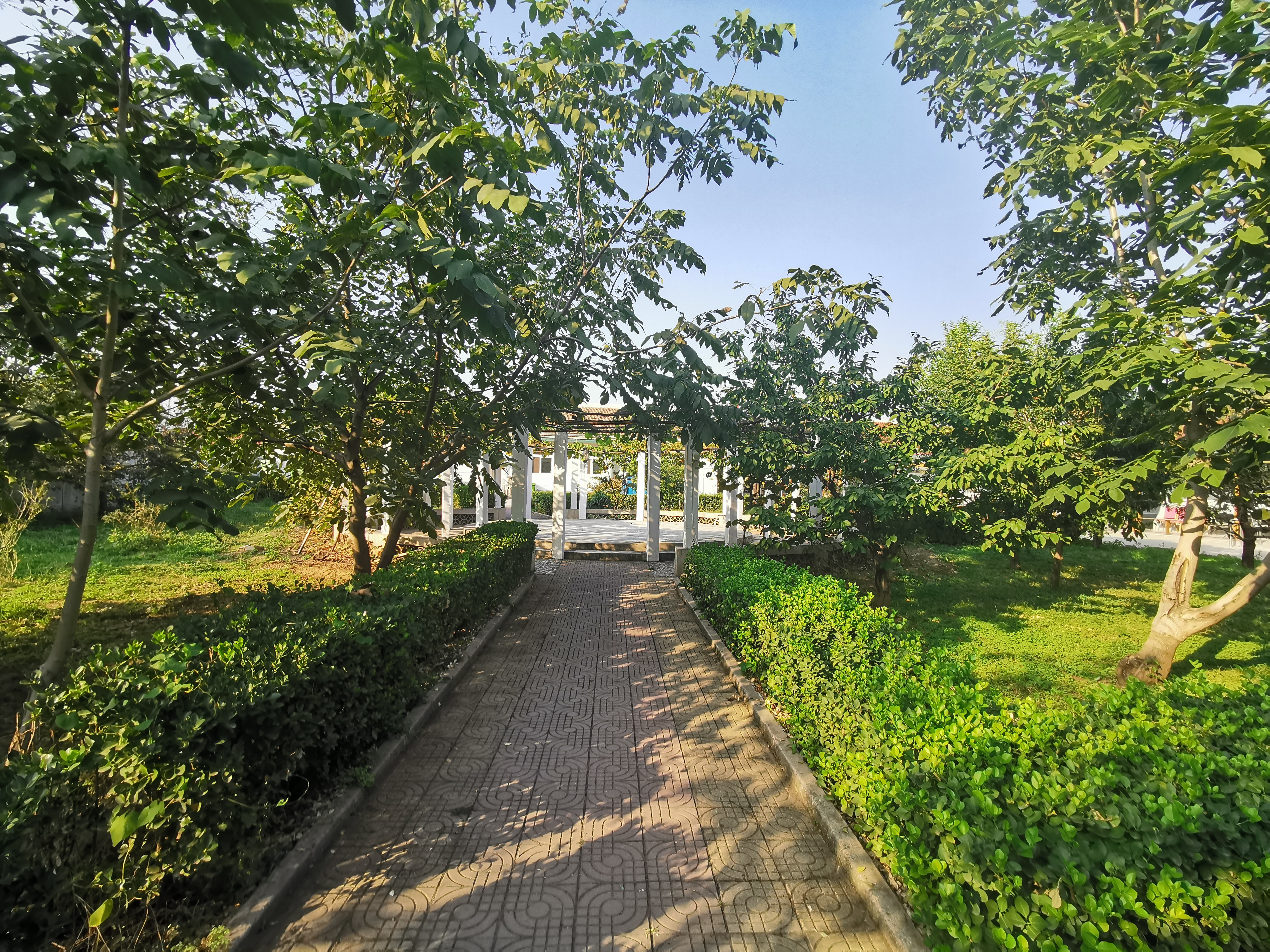 北京千禾養(yǎng)老（認(rèn)知癥照護(hù)基地）