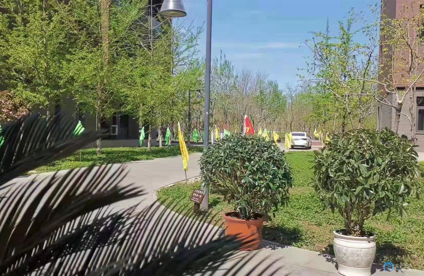 天津津園優(yōu)養(yǎng)家城市頤養(yǎng)中心 天津津園優(yōu)養(yǎng)家城市頤養(yǎng)中心