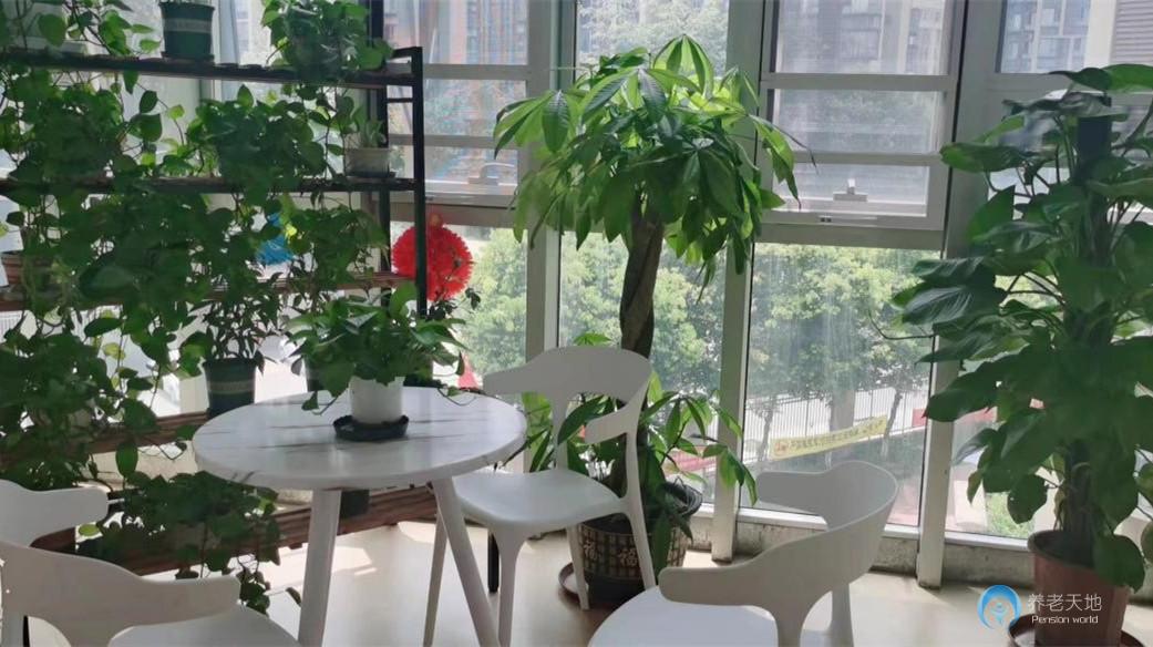 陶煦拾智養(yǎng)老（非遺院）