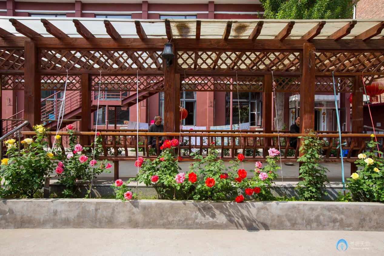 陶樂(lè)養(yǎng)老長(zhǎng)虹公園分院