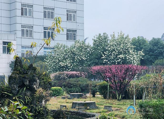 成都愛慈蓮養(yǎng)老院