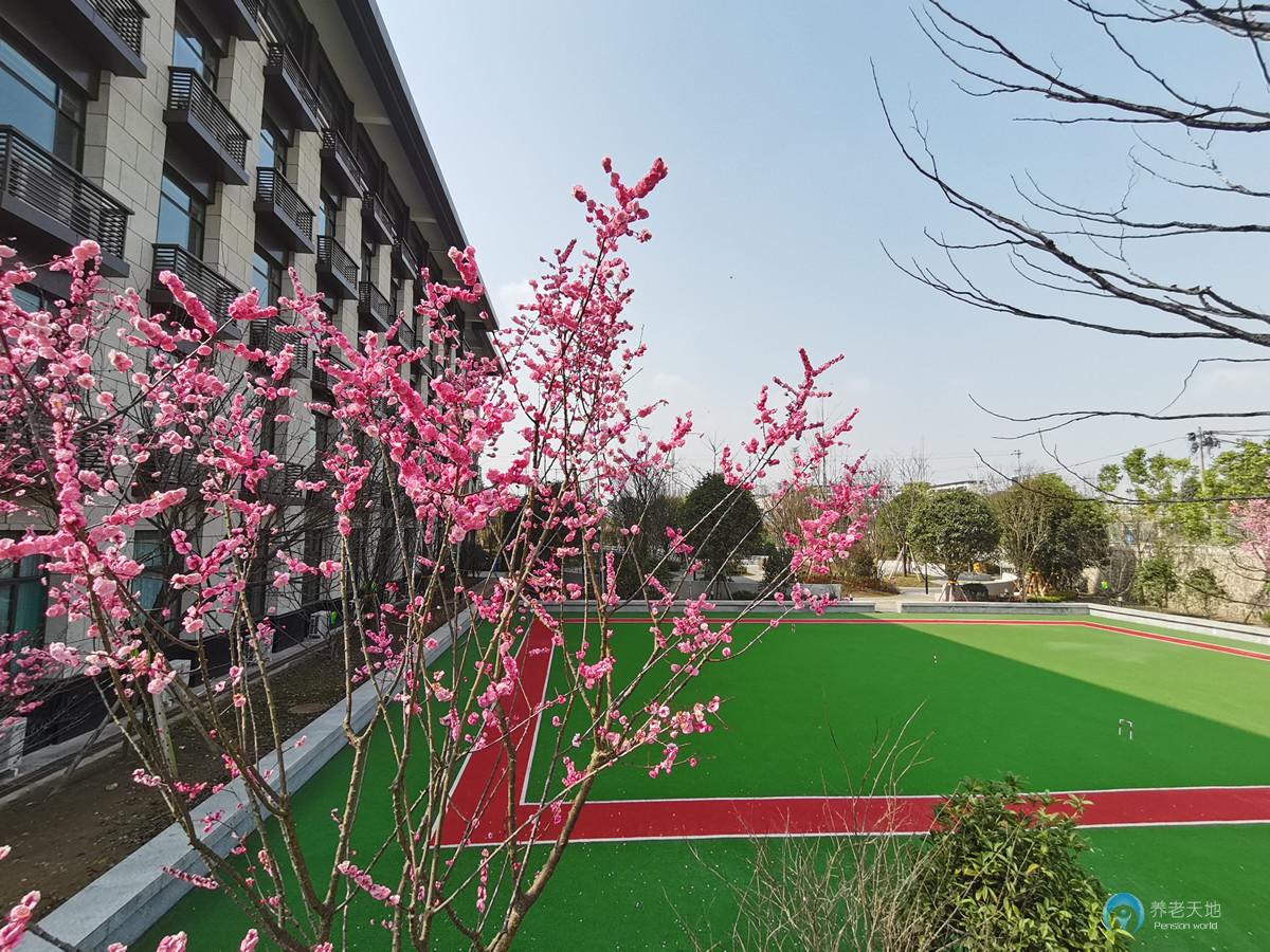 重慶國投健康長者公寓（沙坪壩區(qū)社會福利護(hù)養(yǎng)中心）