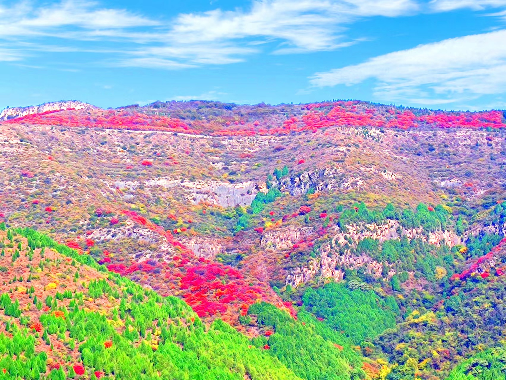 濟南市慧慈中醫(yī)康養(yǎng)中心