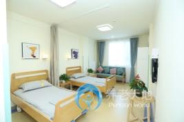 少城街道社區(qū)養(yǎng)老服務(wù)中心