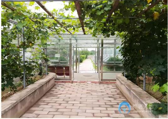 北京市昌平區(qū)鷗情老年頤養(yǎng)院 北京市昌平區(qū)鷗情老年頤養(yǎng)院