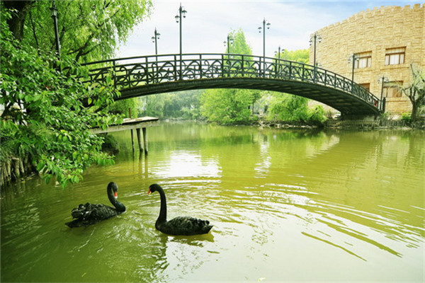 1512613365985089378.jpg 1512613365985089378.jpg