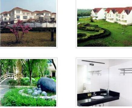 1512616527052055234.jpg 25.jpg