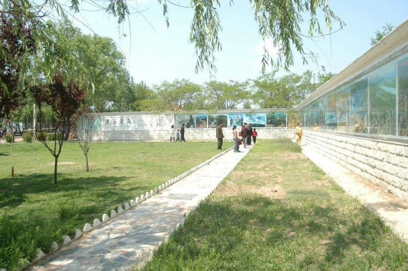 1517365092144093165.jpg 1517365092144093165.jpg