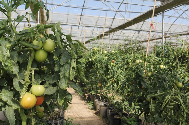 1519355217741082084.jpg 1519355217741082084.jpg