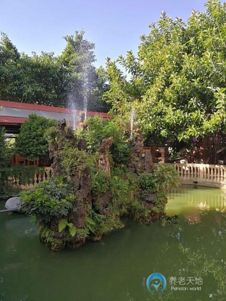 1543195120464068307.jpg 1543195120464068307.jpg