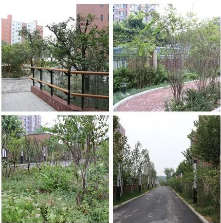 1545460716580041753.png QQ截圖20181222143210.png