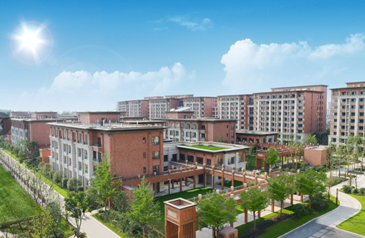 1550044683221022392.png 1.png