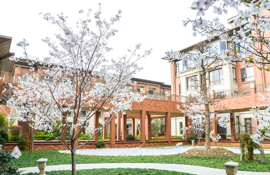 1550044690551040555.png 2.png