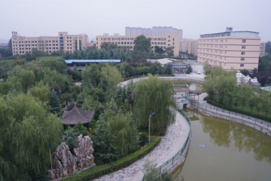 1550806156242071892.png 2.png