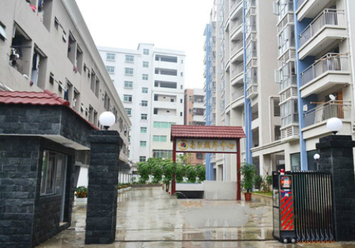 1551853579920021585.png 2.png