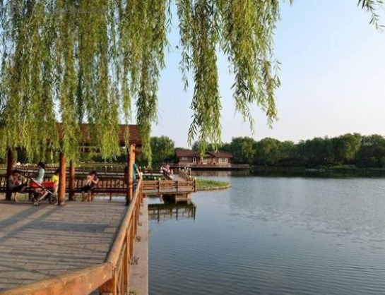 1571451532045057751.png QQ截圖20191019101744.png