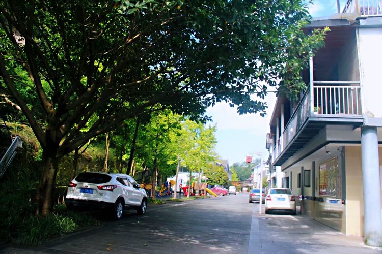 1572312772365022734.jpg 1572312772365022734.jpg