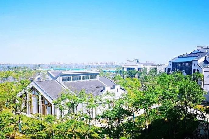 1572490927843065574.jpg 1572490927843065574.jpg