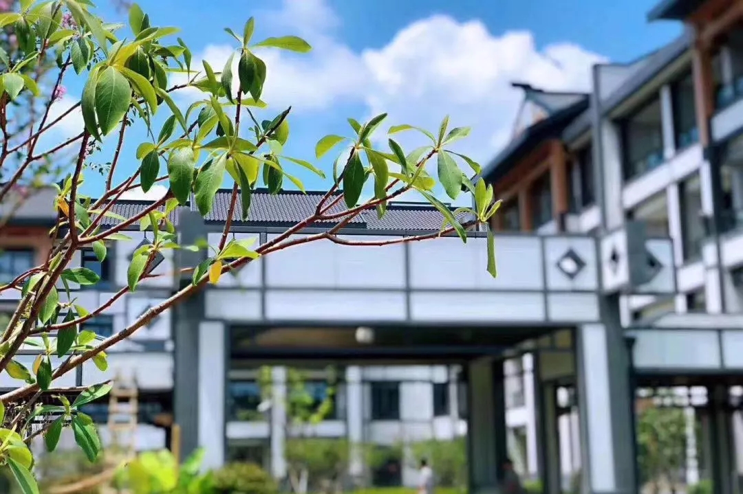 1572490944796023585.jpg 1572490944796023585.jpg