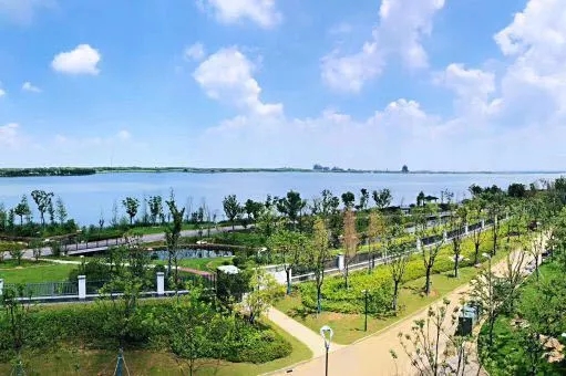 1572490963034056533.jpg 1572490963034056533.jpg