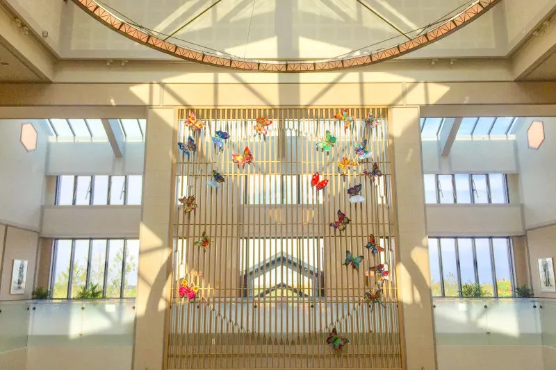 1572491068119098340.jpg 1572491068119098340.jpg