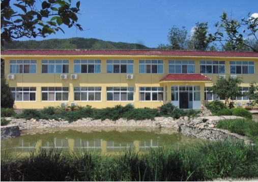 1572592298824010215.png 1.png