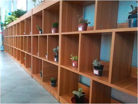 1574129103970061081.jpg 1574129103970061081.jpg