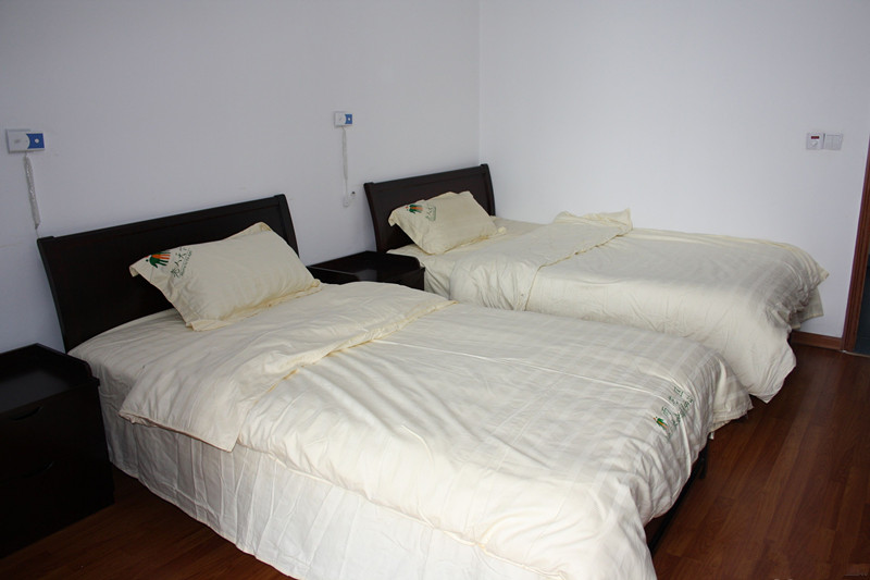 1574391298526071010.jpg 1574391298526071010.jpg