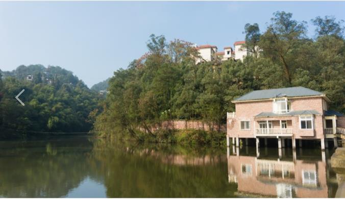 1574838361044032350.jpg 1574838361044032350.jpg