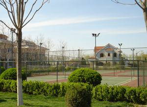 1576144052171092663.jpg 1576144052171092663.jpg