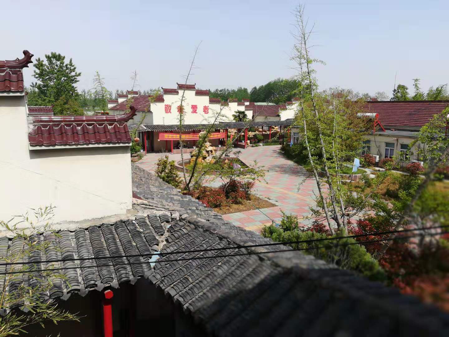 1576895435886066631.jpg 1576895435886066631.jpg