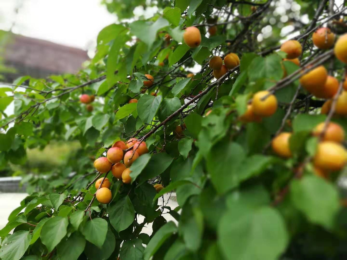 1576895540907055355.jpg 1576895540907055355.jpg