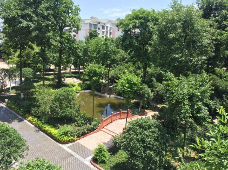 1577438693347096969.jpg 1577438693347096969.jpg