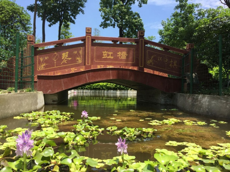 1577438707492090401.jpg 1577438707492090401.jpg