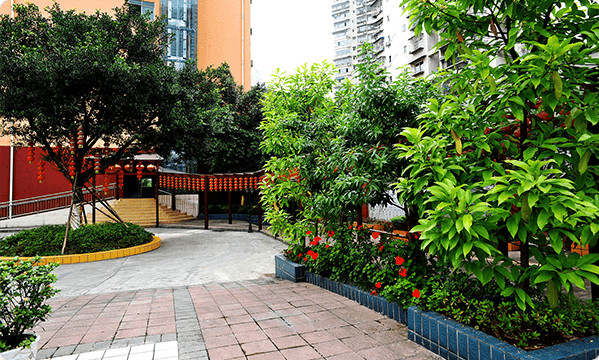 1578281717224051100.jpg 1578281717224051100.jpg