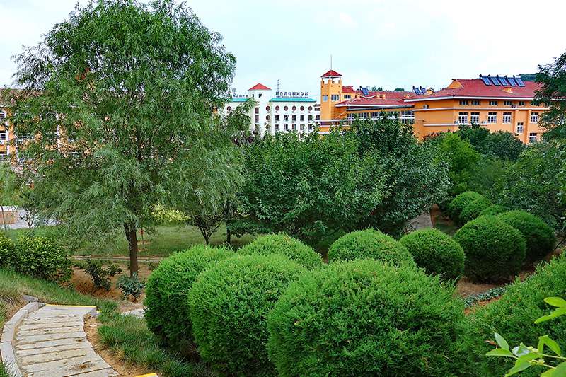 1578991975625034787.jpg 1578991975625034787.jpg