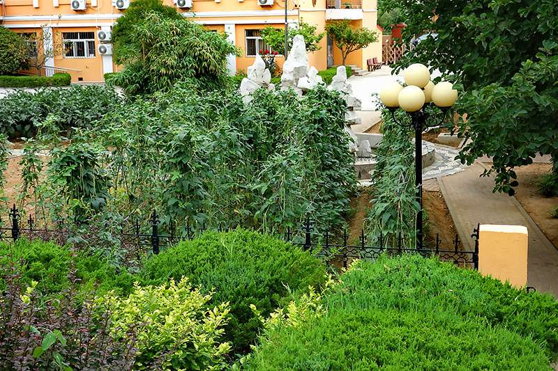 1578992007137056686.jpg 1578992007137056686.jpg