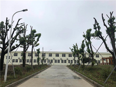 1581409243058056110.jpg 1581409243058056110.jpg