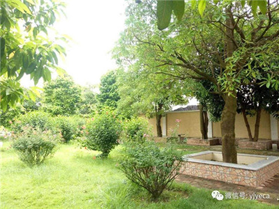 1581409255834069889.jpg 1581409255834069889.jpg