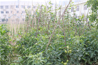 1581409271354029700.jpg 1581409271354029700.jpg