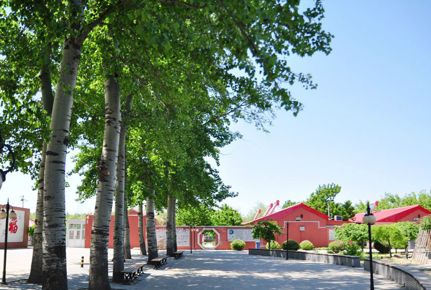 1581581757531057551.jpg 1581581757531057551.jpg